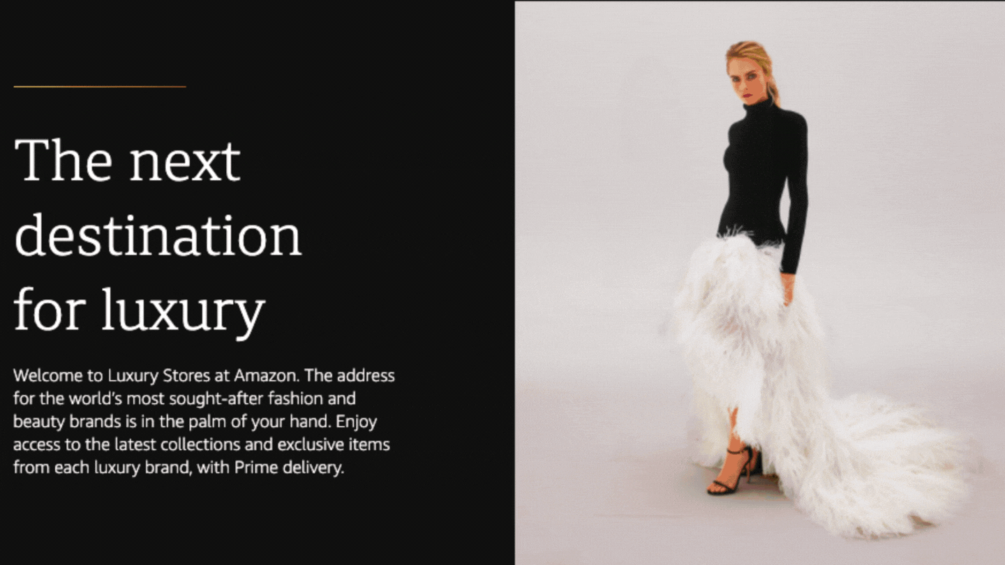 Image 1: アマゾン-高級店-予算-ブループリント-広告のための予算-ケーススタディ