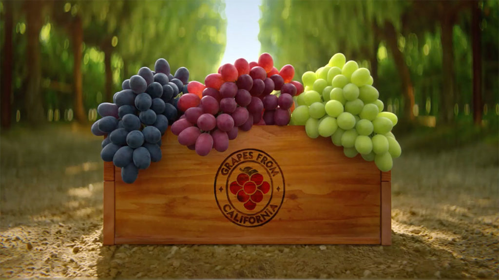 Image 1: Comercialización de la exportación e importación de uvas de California: Creciente demanda mundial de comercialización para la exportación