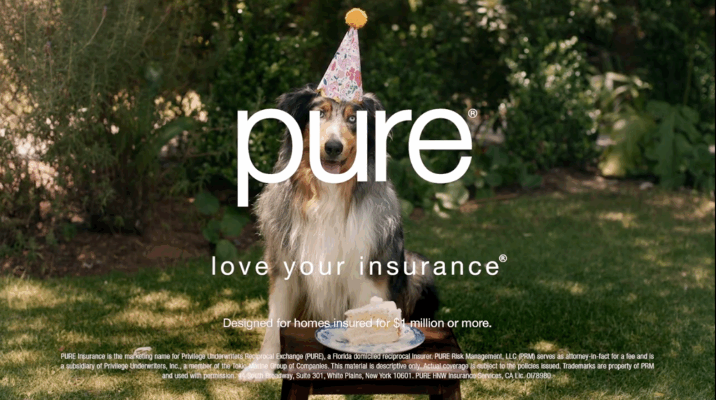 Image 1: Un chien portant un chapeau de fête est assis à l'extérieur avec un gâteau, recouvert du texte 